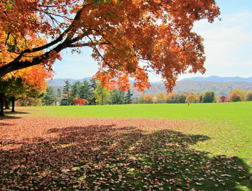 East Tennessee State University Arboretum, United States